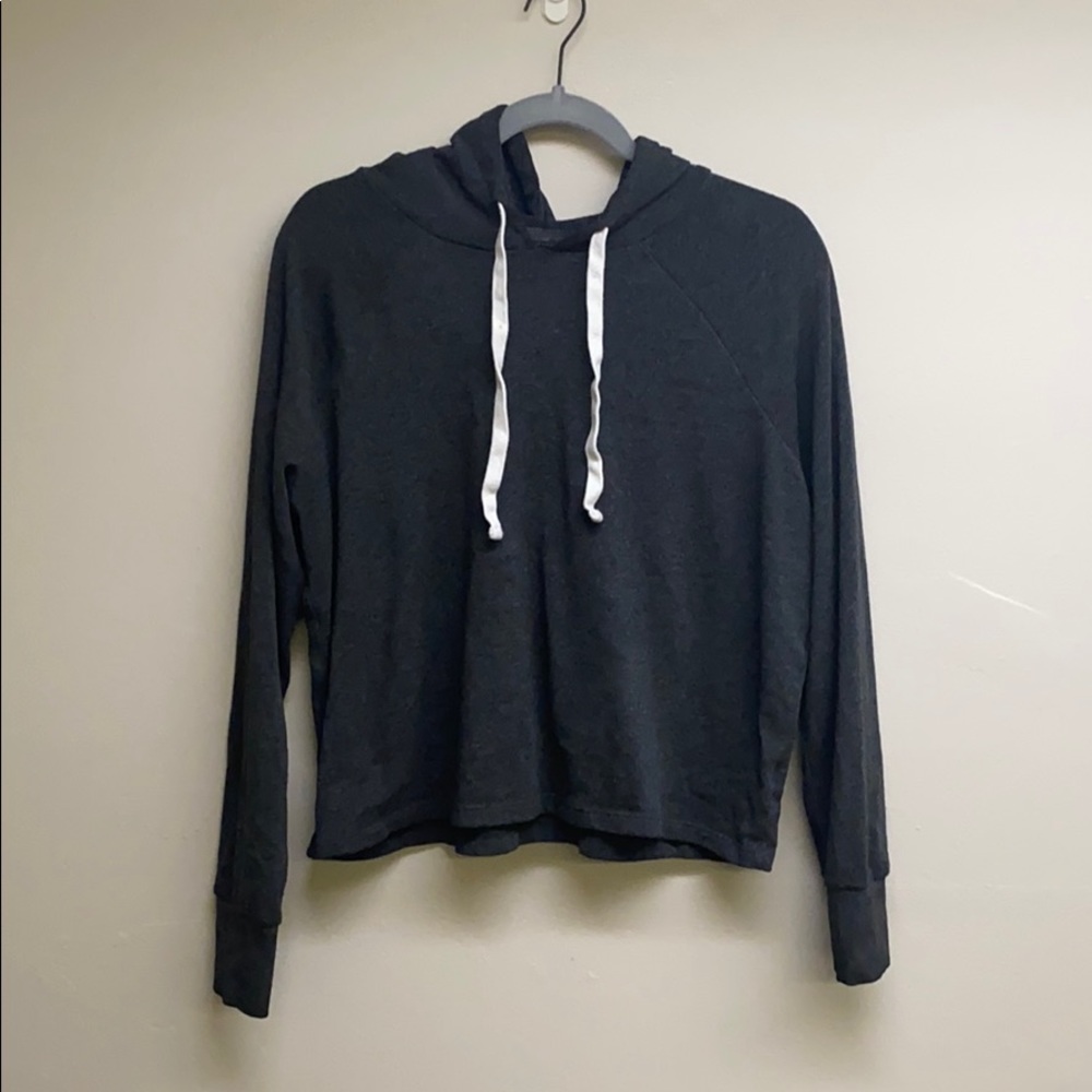 Light Weight Gray Cropped Sweatshirt